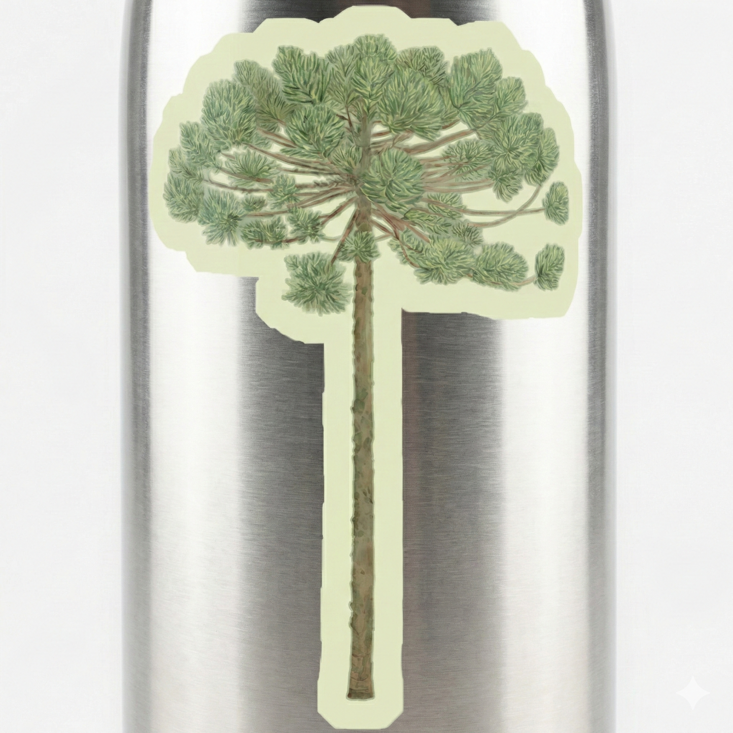 Sticker Araucaria