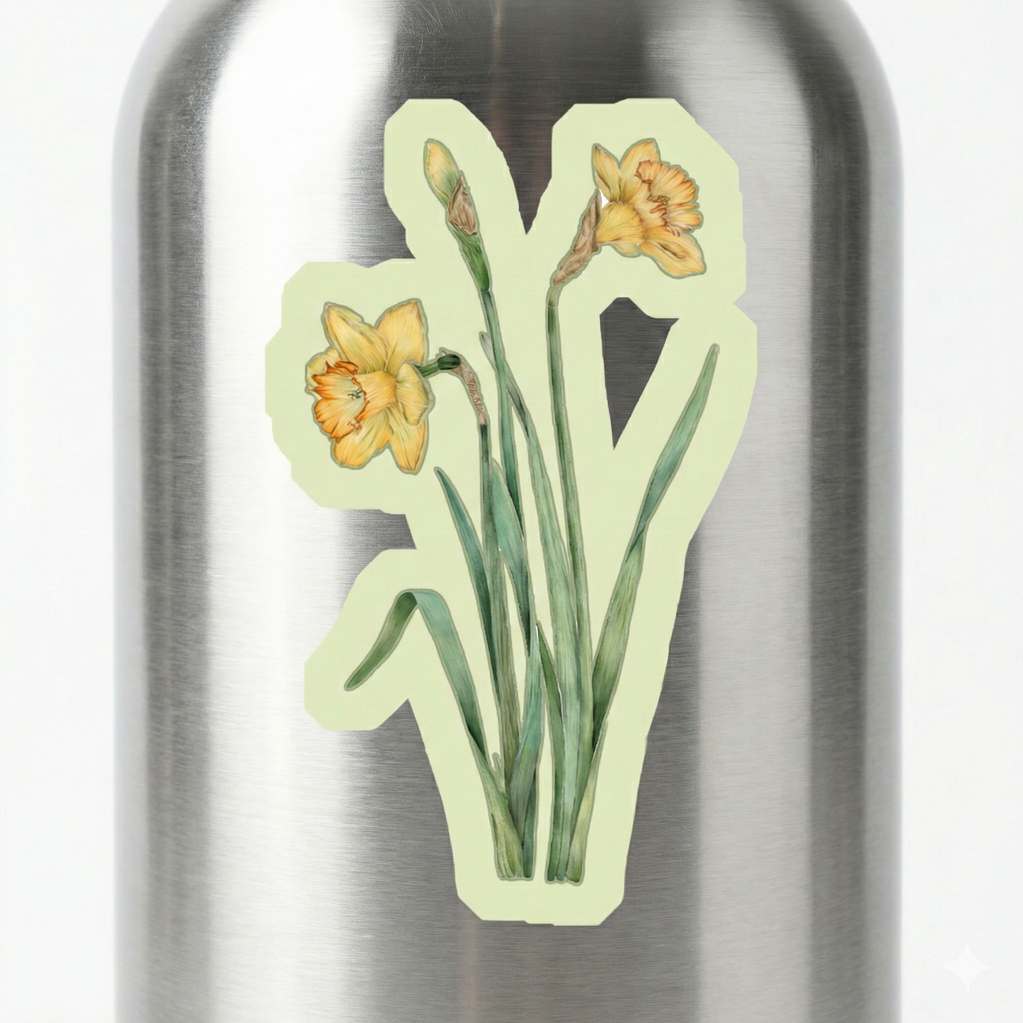 Sticker Narciso