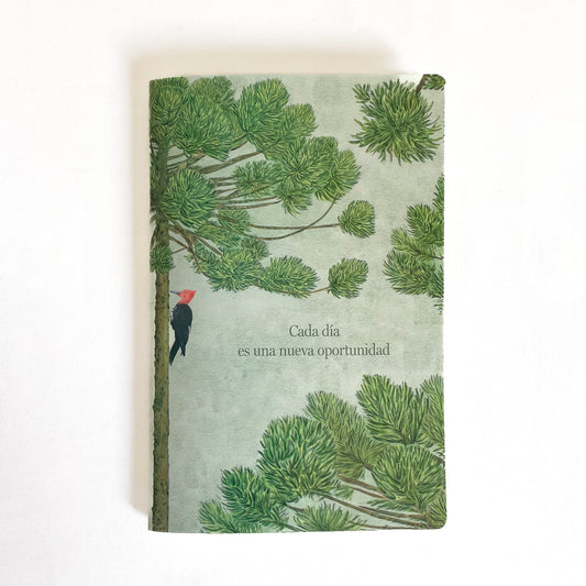 Libreta Araucaria