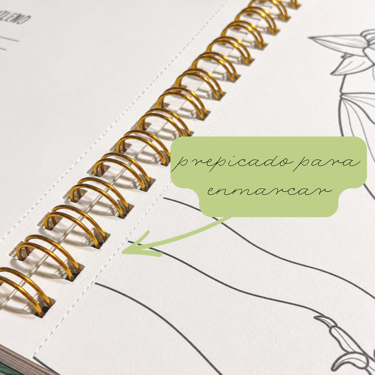 Coloring Book Nativo