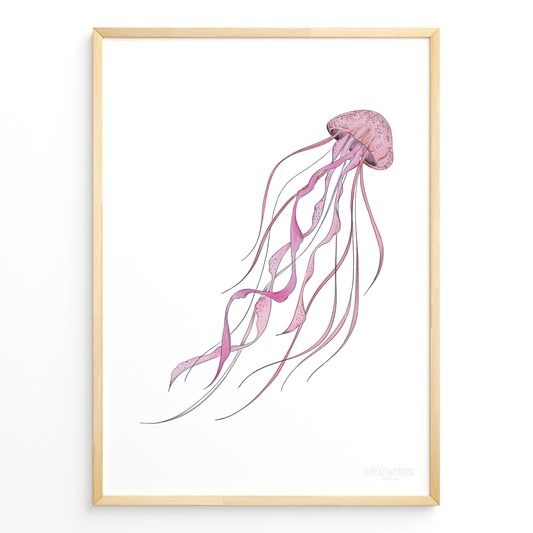 Medusa