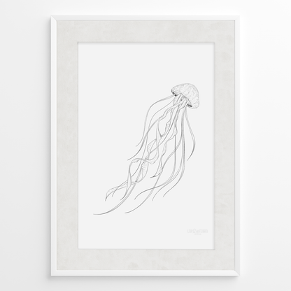 Medusa B&N