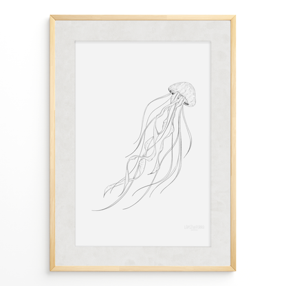 Medusa B&N