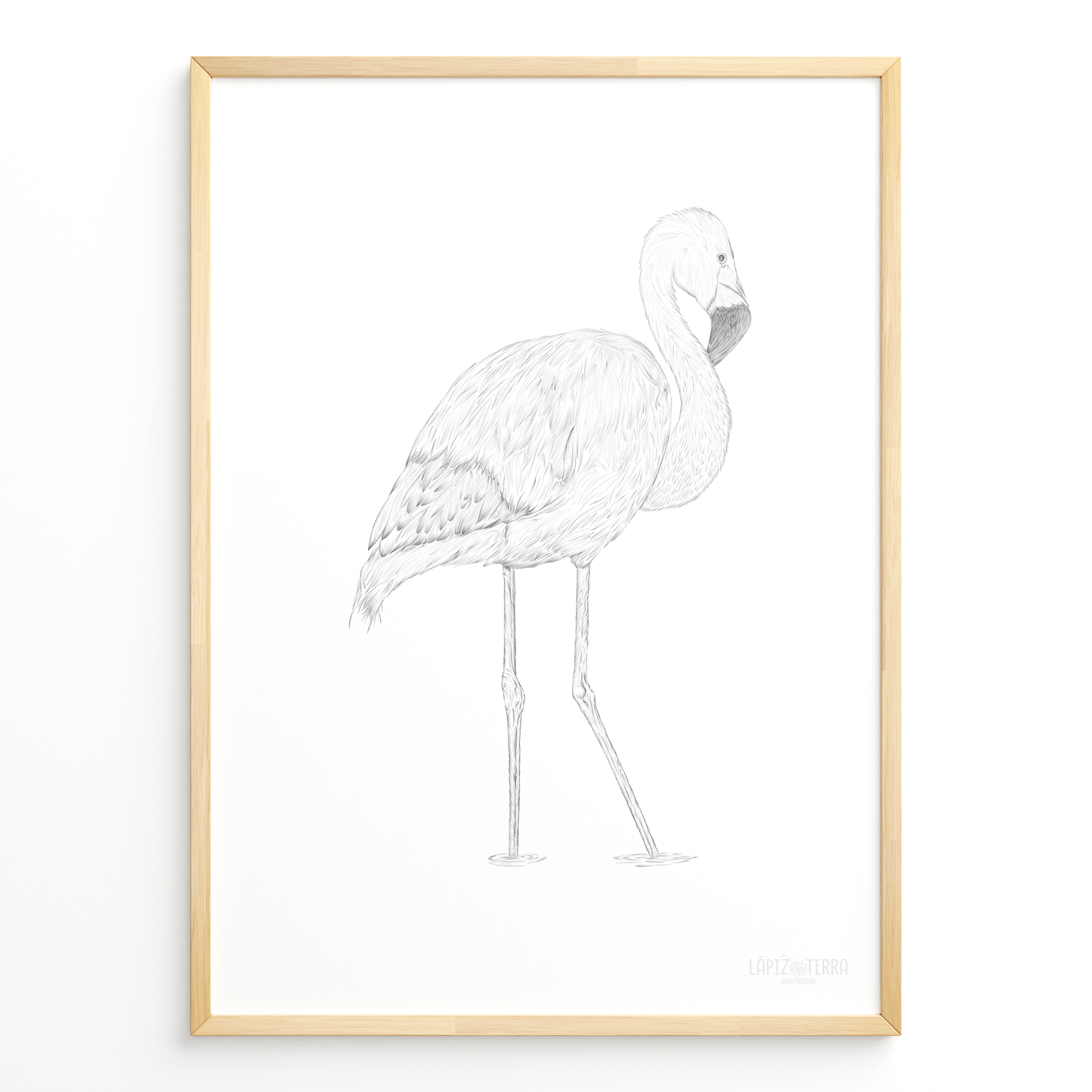 Flamenco Chileno B&N