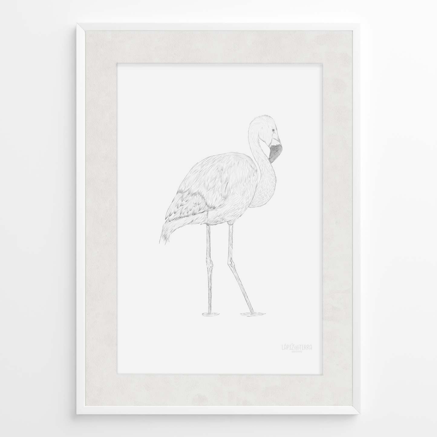 Flamenco Chileno B&N