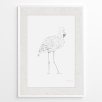 Flamenco Chileno B&N