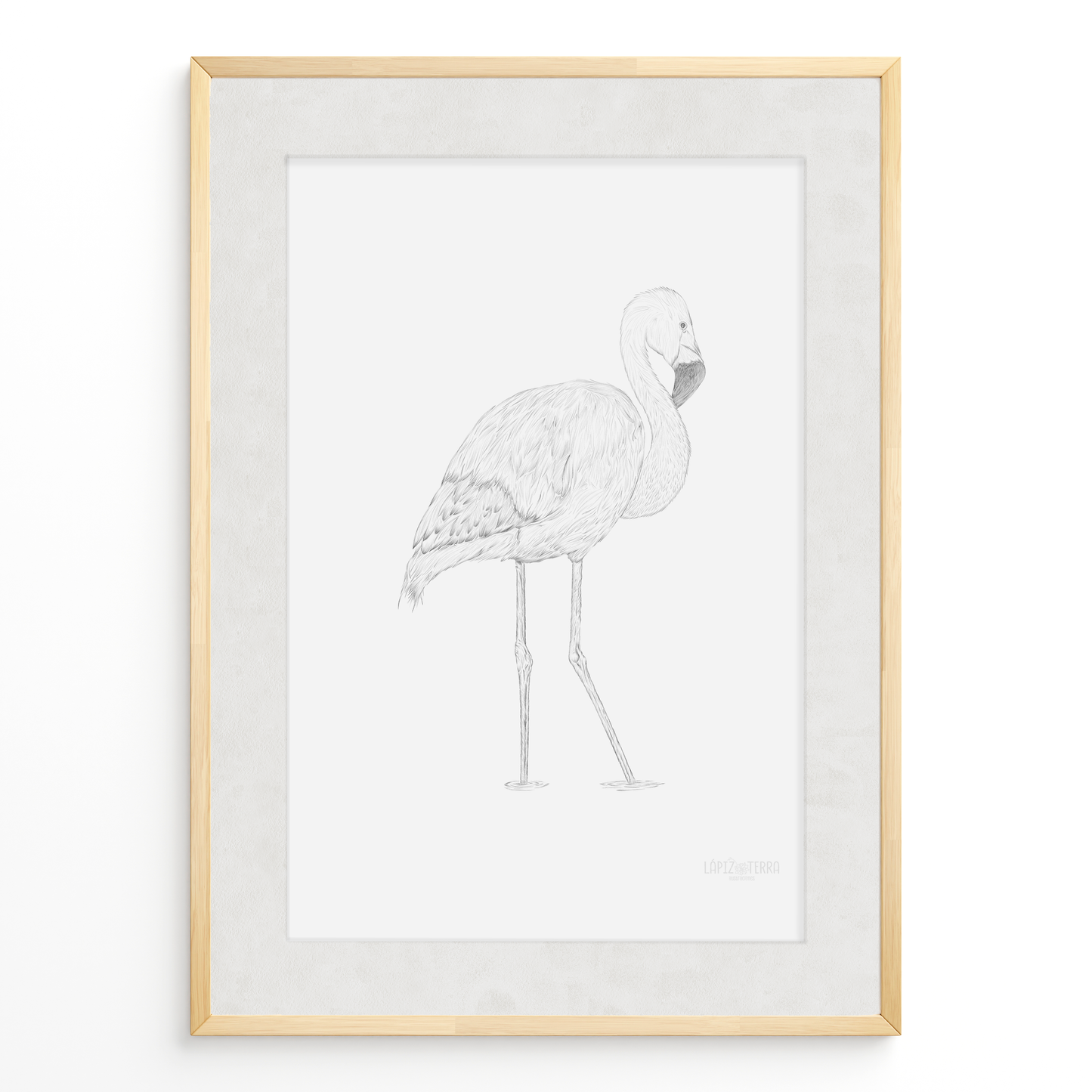 Flamenco Chileno B&N