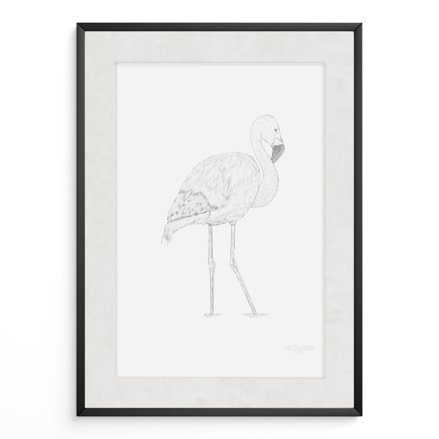 Flamenco Chileno B&N