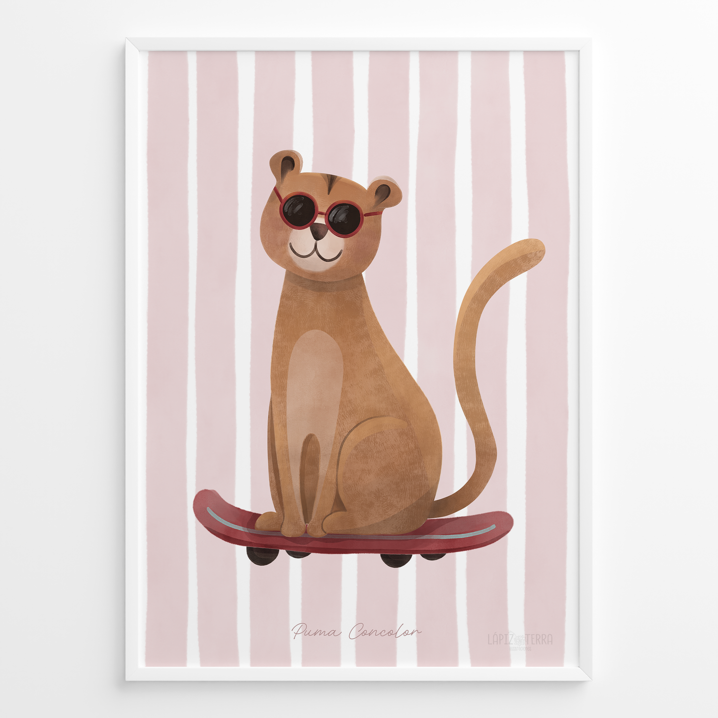 Puma Concolor