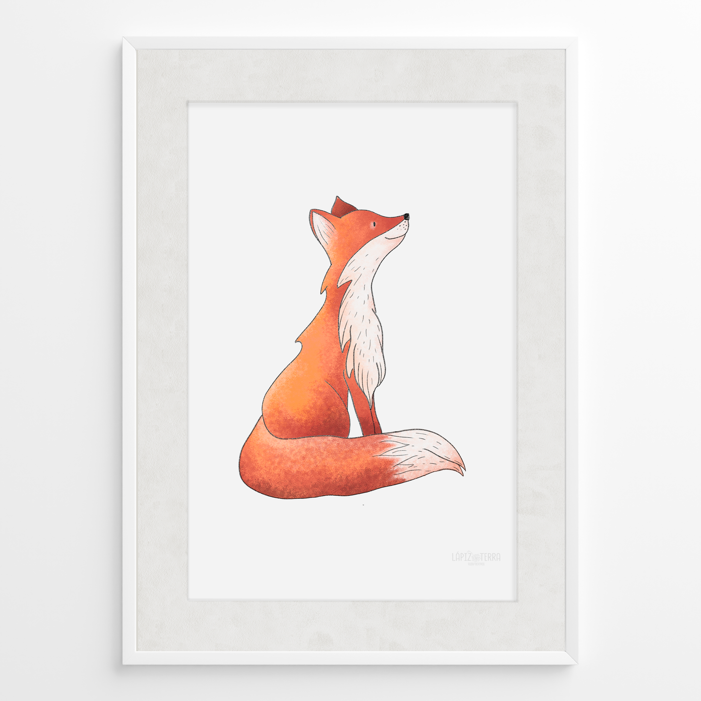 Zorrito